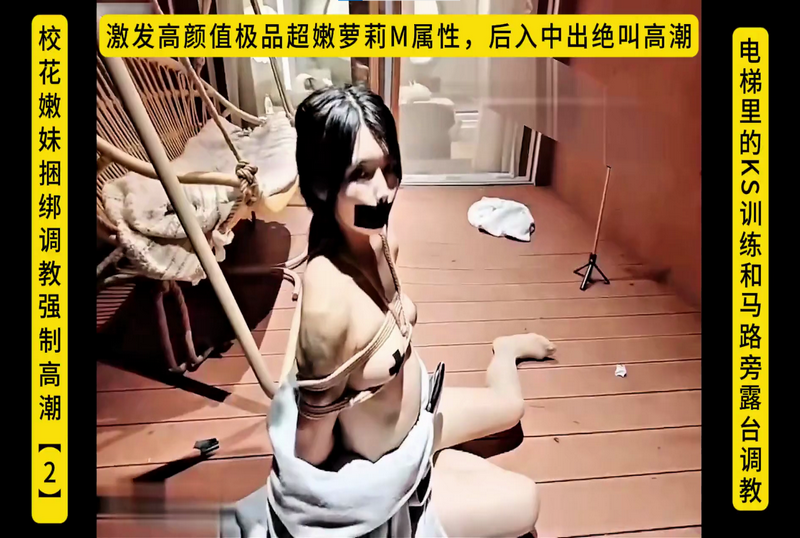 SHIBA-0144 超嫩萝莉电梯里的KS训练和马路旁露台调教 素人-llz