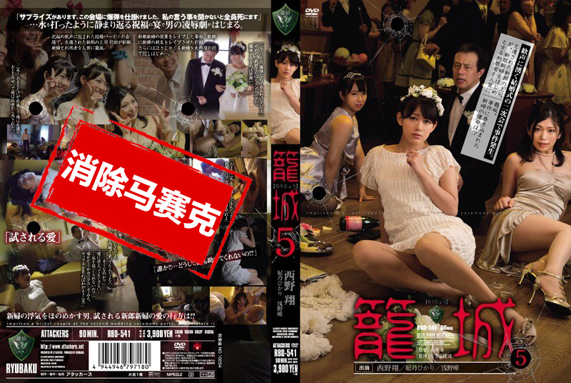 RBD-541 笼城5 西野翔 妃乃光 浅野唯 西野翔,妃乃光,浅野唯-llz